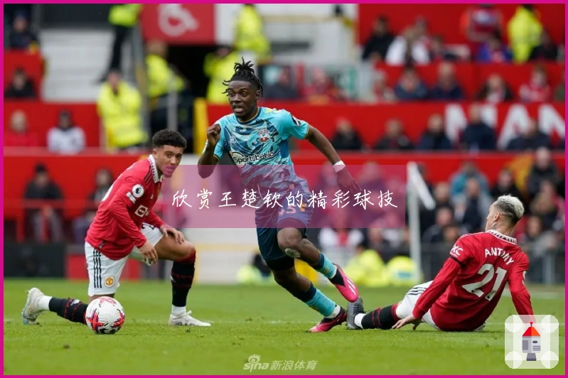 欣赏王楚钦的精彩球技