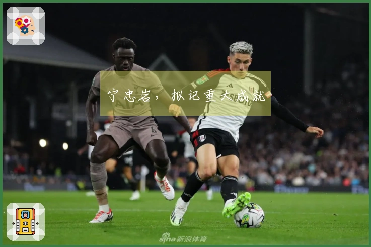 宁忠岩，拟记重大成就